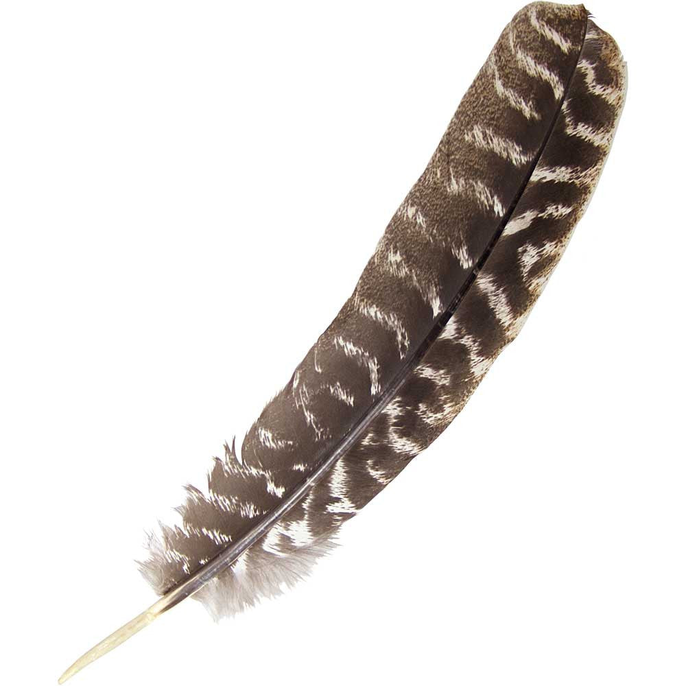 Authentic Turkey Feather for Smudging Sacred Space and Home